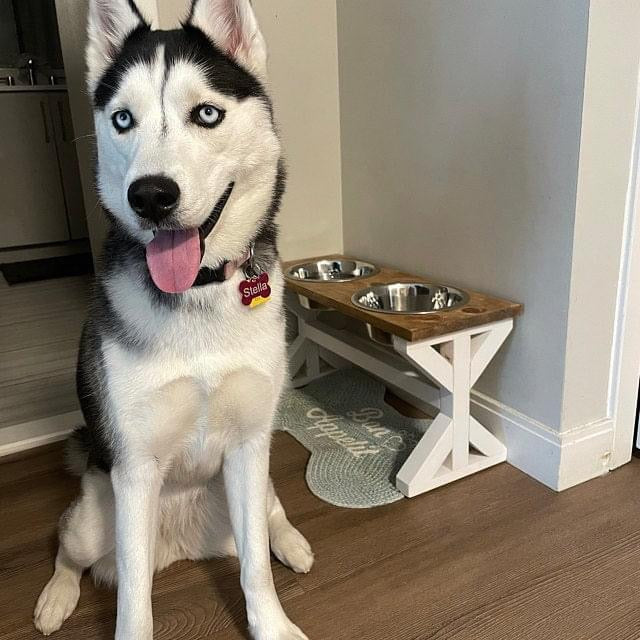 Handcrafted Farmhouse Style Raised Dog Feeder - 3 Bowl