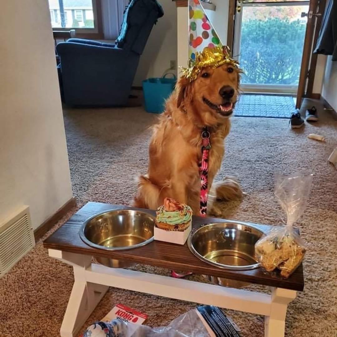 Handcrafted Farmhouse Style Raised Dog Feeder - 3 Bowl